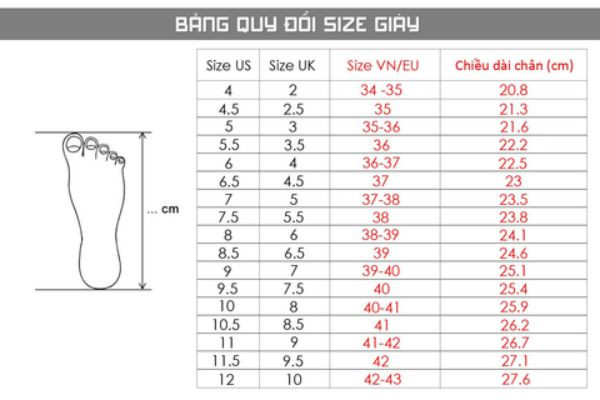 Chi tiết hơn 70 shoe size louis vuitton size chart siêu hot  trieuson5